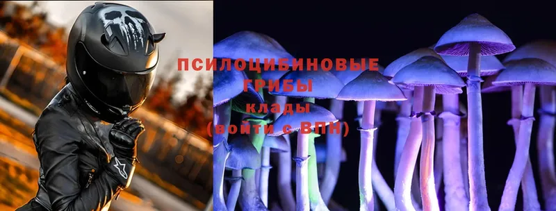 Галлюциногенные грибы Psilocybine cubensis  МЕГА как зайти  Покров  это официальный сайт  купить наркотики цена 